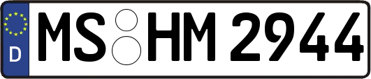 MS-HM2944