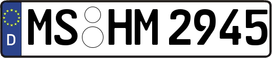 MS-HM2945