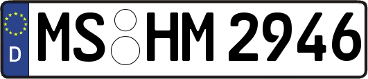 MS-HM2946