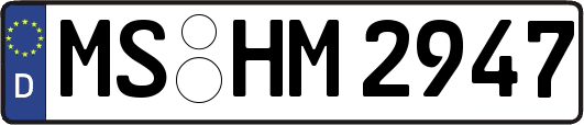 MS-HM2947