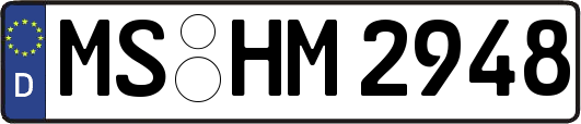 MS-HM2948