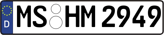 MS-HM2949