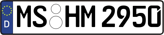 MS-HM2950