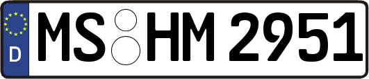MS-HM2951