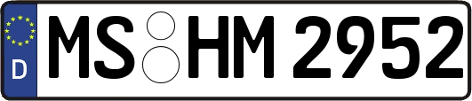 MS-HM2952