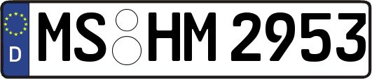 MS-HM2953