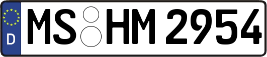 MS-HM2954
