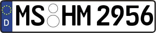 MS-HM2956