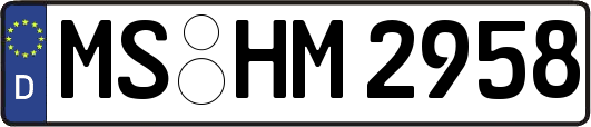 MS-HM2958