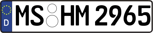 MS-HM2965