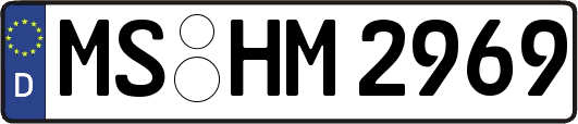 MS-HM2969