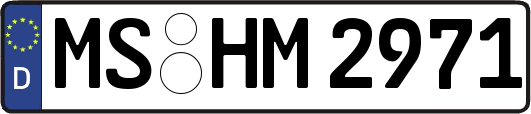 MS-HM2971