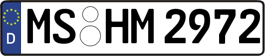 MS-HM2972