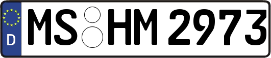 MS-HM2973