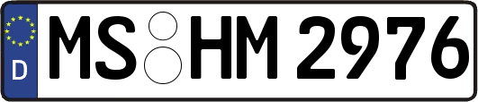 MS-HM2976