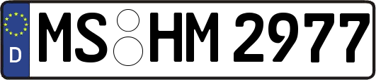 MS-HM2977