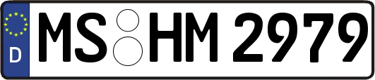 MS-HM2979