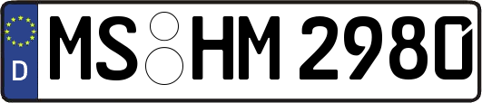 MS-HM2980