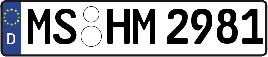 MS-HM2981