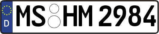 MS-HM2984