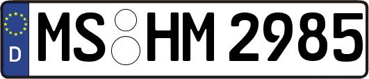 MS-HM2985