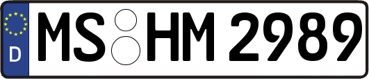 MS-HM2989