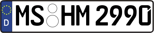 MS-HM2990