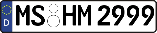 MS-HM2999