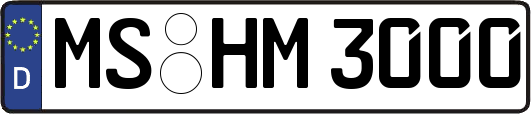 MS-HM3000