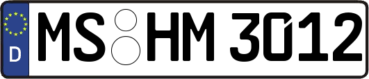 MS-HM3012