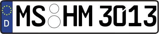 MS-HM3013