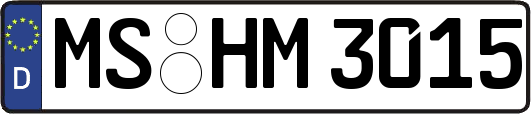 MS-HM3015
