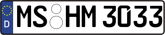 MS-HM3033