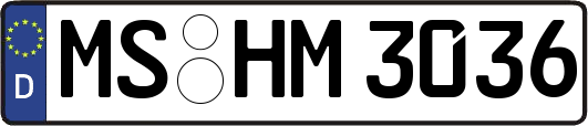 MS-HM3036