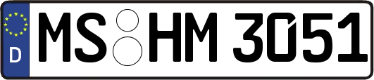 MS-HM3051