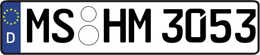 MS-HM3053
