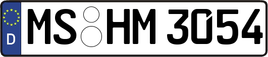 MS-HM3054