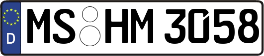 MS-HM3058