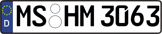 MS-HM3063
