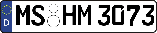 MS-HM3073