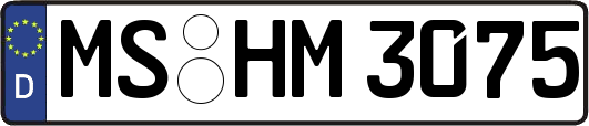 MS-HM3075
