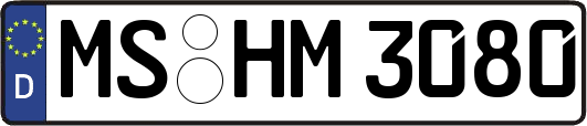 MS-HM3080