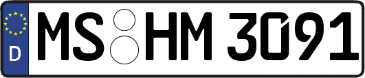 MS-HM3091