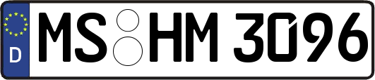 MS-HM3096