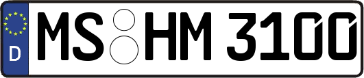MS-HM3100