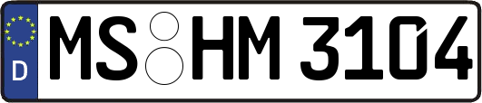 MS-HM3104
