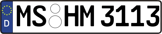 MS-HM3113