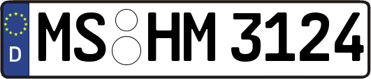 MS-HM3124