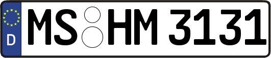 MS-HM3131