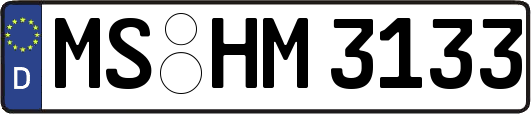 MS-HM3133